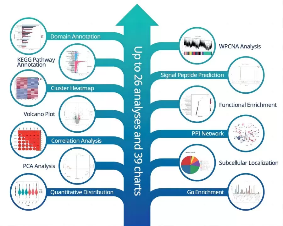 MetwareBio comprehensive proteomics analytical report